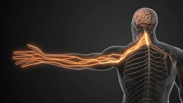 cervical radiculopathy evaluation