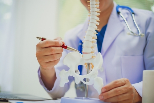 Doctor pointing at a spine model to explain Stockbridge spinal stenosis treatment to a patient at VeriSpine Joint Centers.